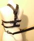 Walking Harness and Reins